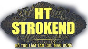 HT Strokend✅ hỗ trợ điều trị tai biến mạch máu não ✅ đột quỵ não